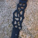Product thumb image