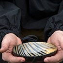 Product thumb image