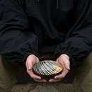 Product thumb image