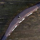 Product thumb image