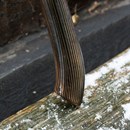 Product thumb image