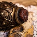 Product thumb image